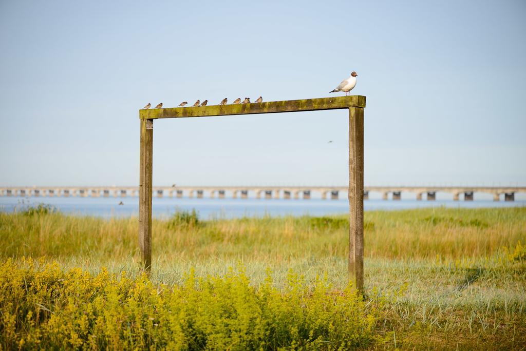 Nyborg Strandcamping Hotel Exterior photo